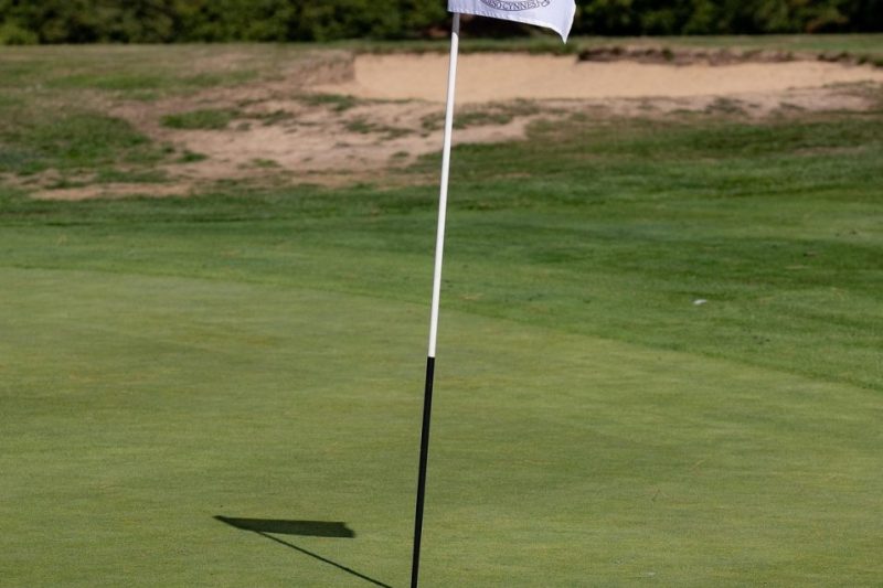 Why Choose Skechers Go Golf Spikeless Shoes on a Budget?