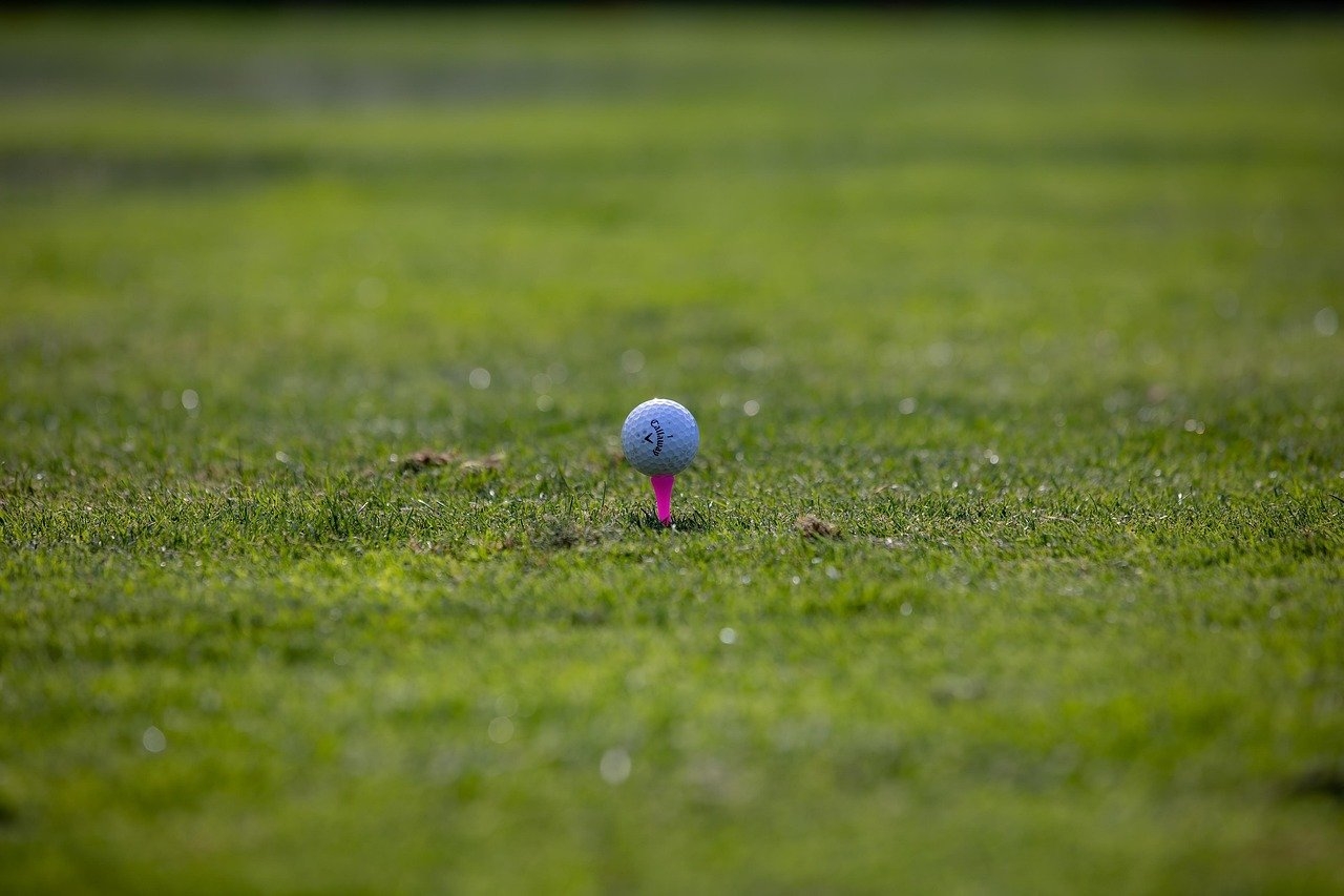 Beginner's Tips for Choosing the Right Golf Shoe Size