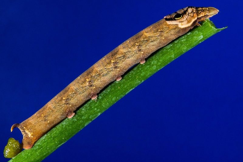 Essential Tools for Fixing Hooks: What You Need to Know