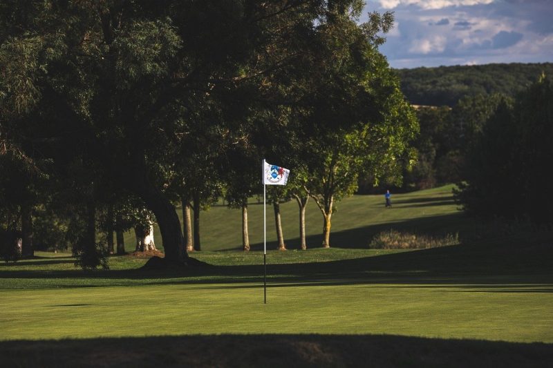 Wilson Triad Mid Handicaps: Must-Have Gear for Best Play