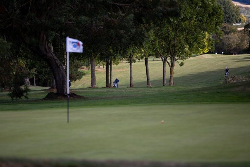 Wilson Triad Mid Handicaps: A Comprehensive Overview for…