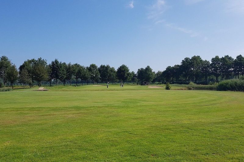 True Linkswear OG3 Pro: A Perfect Blend of Style and…