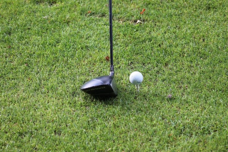 Budget-Friendly Golf: Why TaylorMade Distance+ Balls Are…