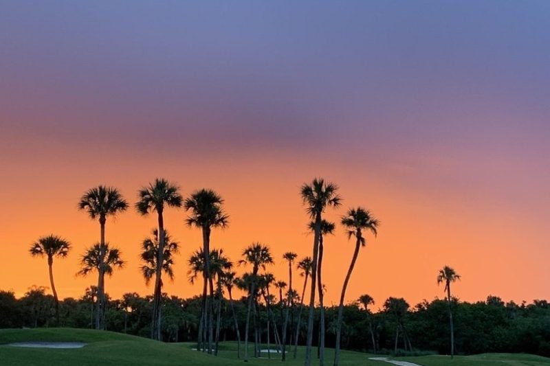 Step-by-Step Process to Measure Your Feet for Golf Shoes