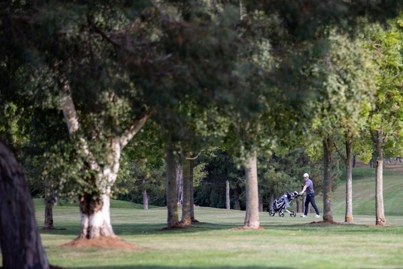 Pro Golfers' Choice: Cabretta Leather or Synthetic Golf...