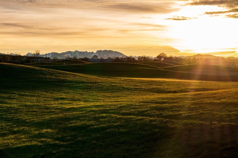 Callaway Tour Authentic Cabretta Leather: A Golfers…