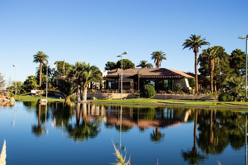 Top 5 Budget Srixon Golf Gloves for Superior Performance